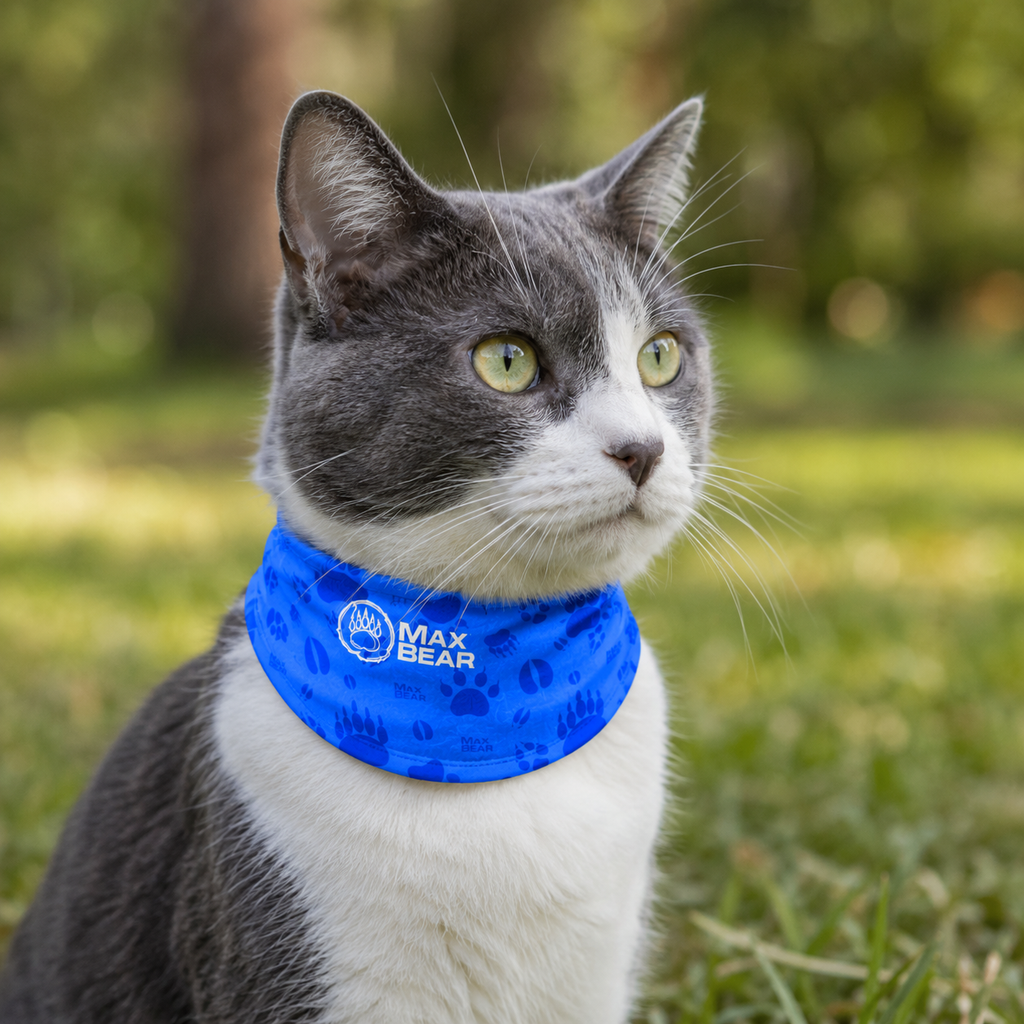 Bandanas Max Bear – Mascotas