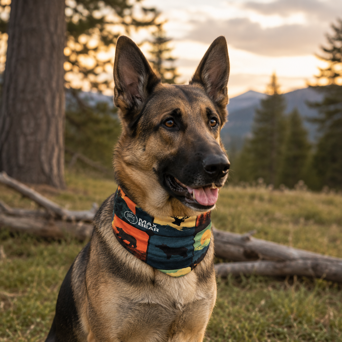 Bandanas Max Bear – Mascotas