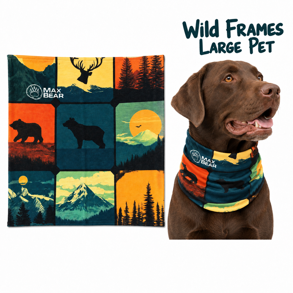 Bandanas Max Bear – Mascotas